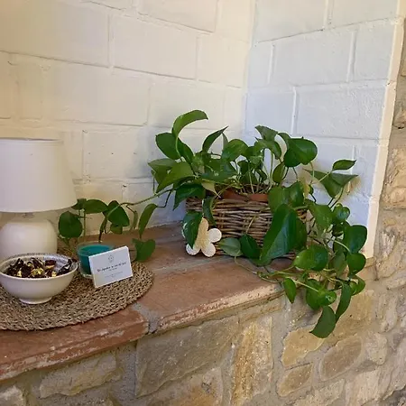Da Agostino, La Casa Del Latte